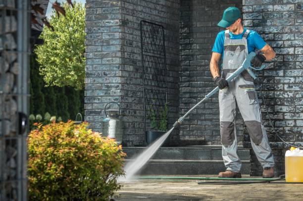 Best Animal Enclosure Cleaning  in Laguna Beach, FL